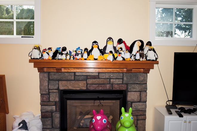 Penguins in Linus home