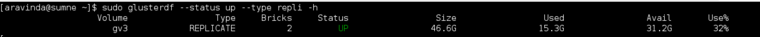 sudo glusterdf --status up --type repl -h